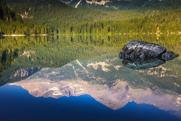 Idyllic Lake Tovel Reflection Symmetry Trentino Alto Adige Italy — Stock Fotó