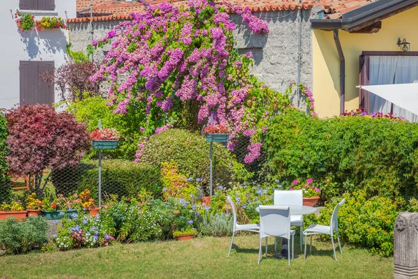 Garden with flowers in back yard at sunny springtime, Lake waterfront, Garda, Italy