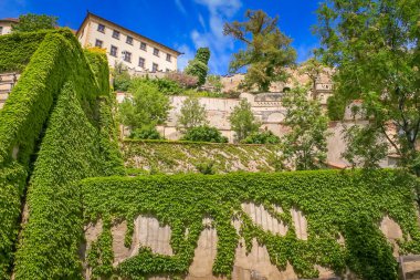 Prag şehir manzarası ve park Orta Çağ gotik ve barok mimarisi, Çek Cumhuriyeti