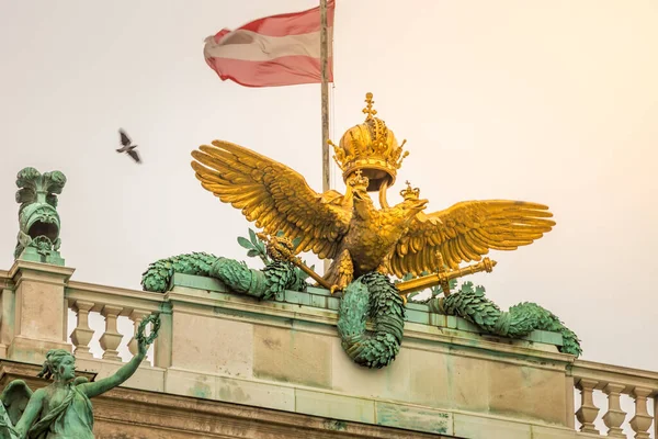 Rakouská Vlajka Ptáci Vznášející Nad Hofburgskou Střechou Vídeň Při Východu — Stock fotografie