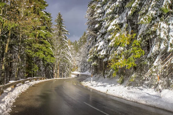 Mountain Road Pass Bavarian Alps Austrian Tyrol Autumn Snow — Stock Photo, Image