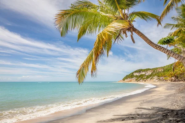 Idyllic Espelho Beach Trancoso Sunny Day Bahia Northeastern Brazil South — Fotografia de Stock