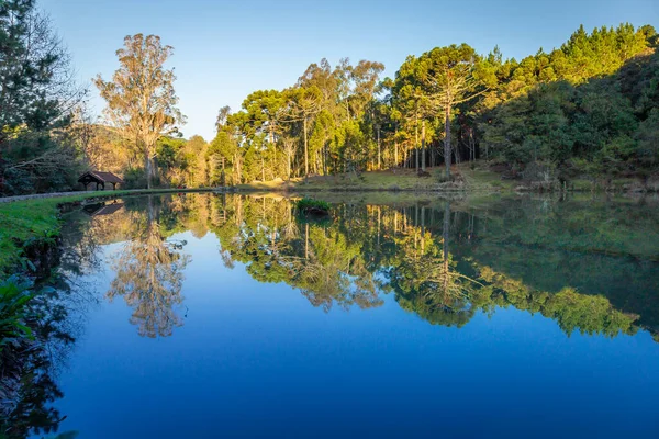 Södra Brasilien Landsbygd Och Sjö Reflektion Landskap Vid Fredlig Gyllene — Stockfoto