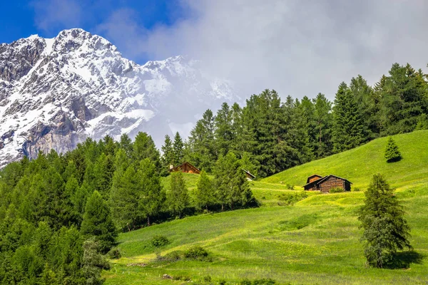Stelvio Ulusal Parkı 'ndaki karlı dağlarda çiftlikler, Valfurva, Sondrio, İtalyan Alpleri