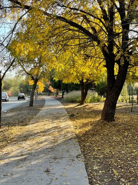 Parc Automne Dans Ville — Photo