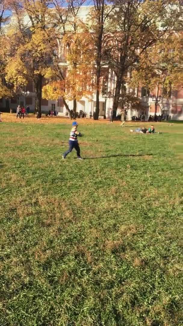 POV Vertical Video Boy playing in the park with a plate Active outdoor games with son Children leaful time — 图库视频影像