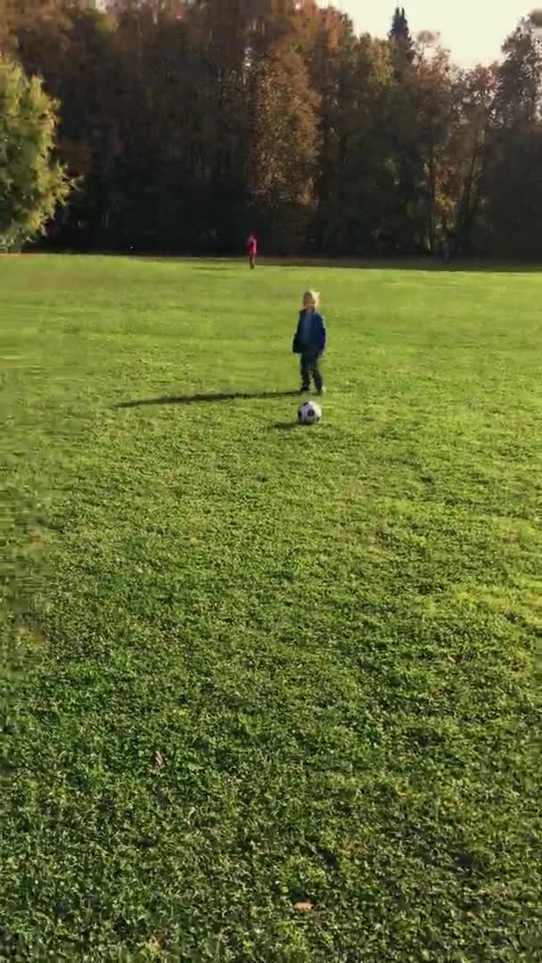POV Verticale video vader en zoon voetballen voor plezier in de buitenlucht in park Family Stories concept Rechtenvrije Stockvideo's
