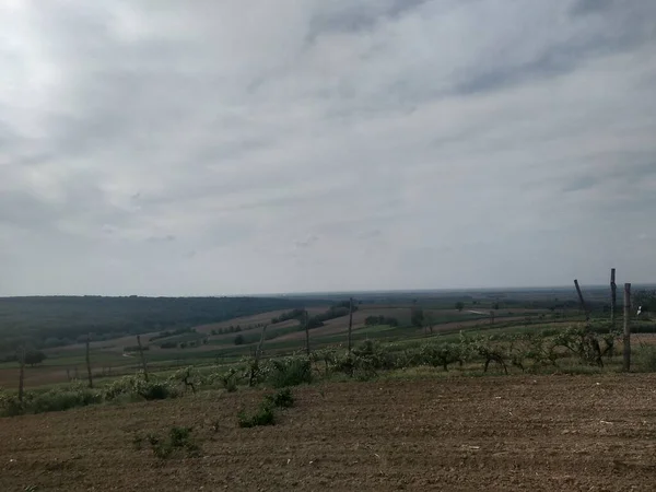 Cultivación Tierras Colinas Parcialmente Cubiertas Por Bosques — Foto de Stock