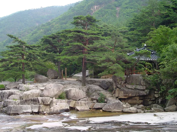 Klidná Krajina Mureung Kyegoku Údolí Jižní Korea — Stock fotografie