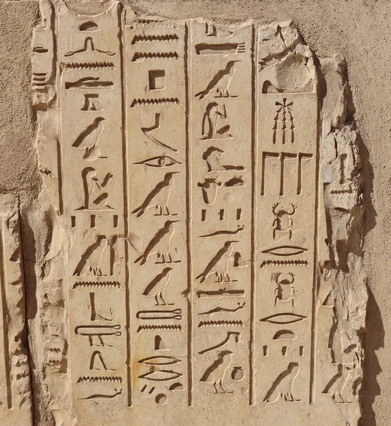 Egyiptomi Hieroglifák Hieroglifák Satet Templomban Aswan — Stock Fotó