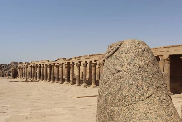 エジプト アスワンのイシス神殿内のライオン像 花崗岩 — ストック写真