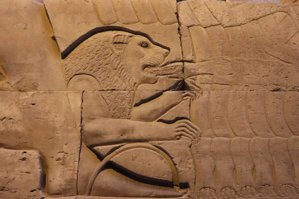 ライオンは敵を攻撃 オンボ寺院 アスワン エジプトから美しいファラオの壁の彫刻 — ストック写真