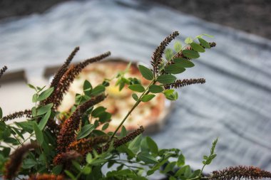 Piknik. Açık hava pizzası, açık hava yemeği. Gölde güzel yeşil doğa