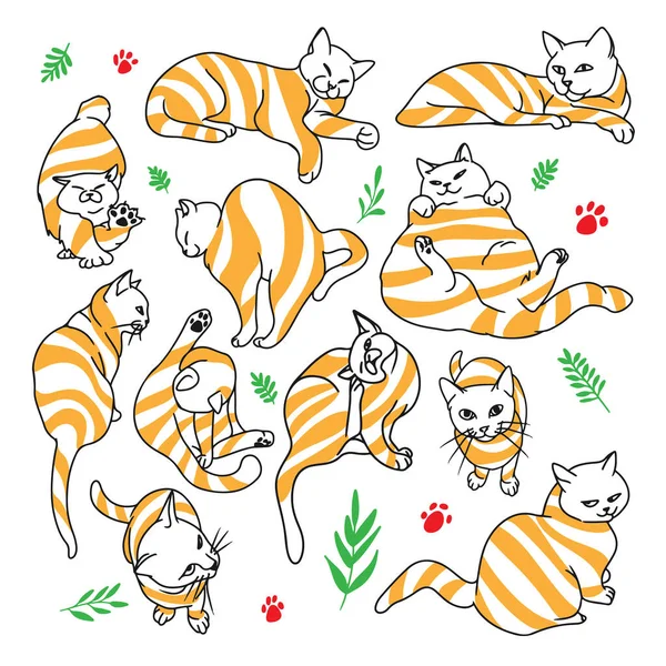 Funny Striped Cats Set Collection Cartoon Pets Different Angles Poses — Stock Vector