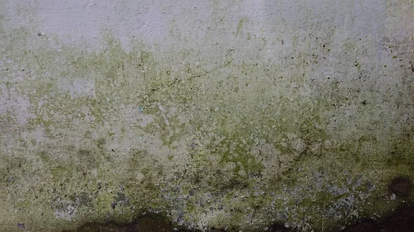 Eski duvarlar korunmuyor ve rutubet boyanın rengini değiştirip soyulmasına neden oluyor.