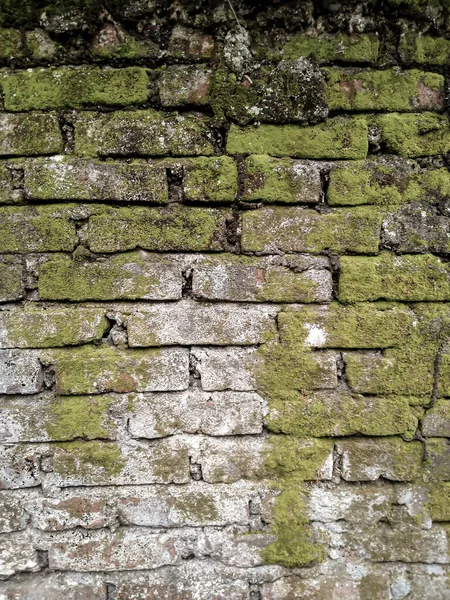 Eski tuğla duvarlar dağınık ve yosunlu..