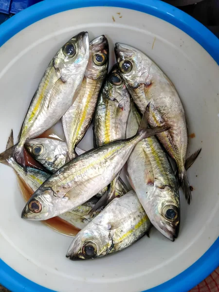 Ikan segar - Pazarda satılan bir kasede taze balık deniz ürünleri