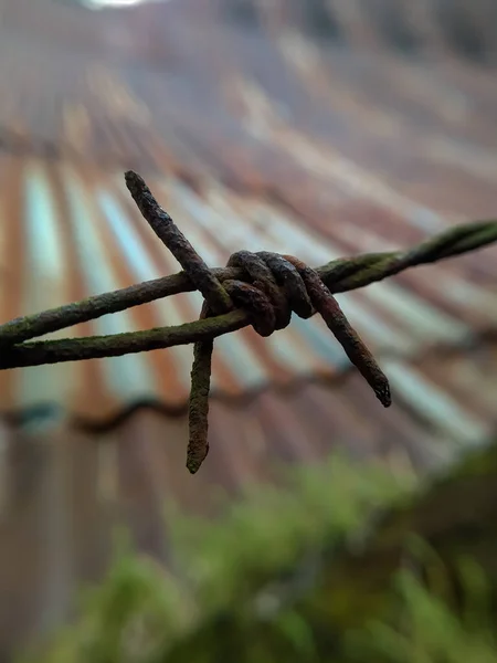 Selectively Focus Old Rusty Barbed Wire — Stock Photo, Image