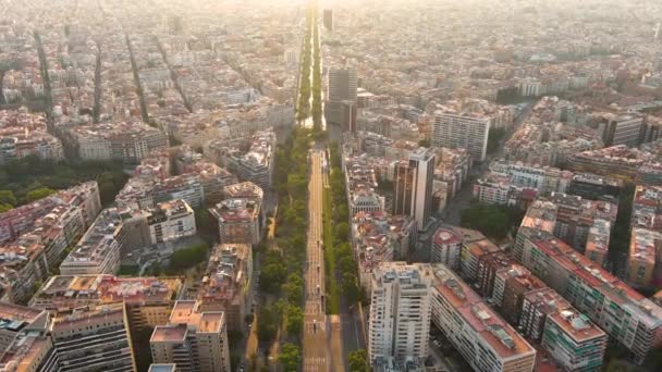Vista Aerea Dello Skyline Della Città Barcellona All Alba Diagonale — Video Stock