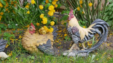 Bahçedeki tavuk figürleri 