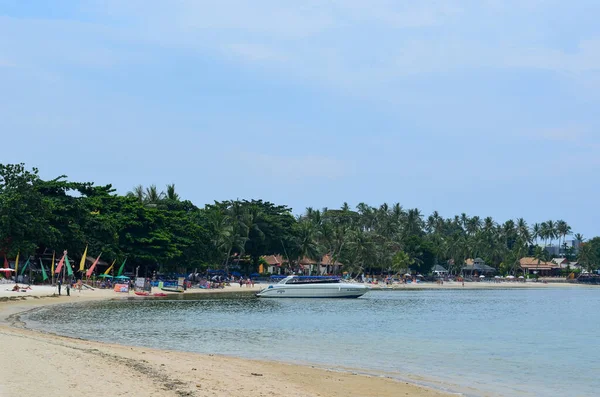 Sommerliche Strandatmosphäre Meer Palmen Und Sand — Stockfoto