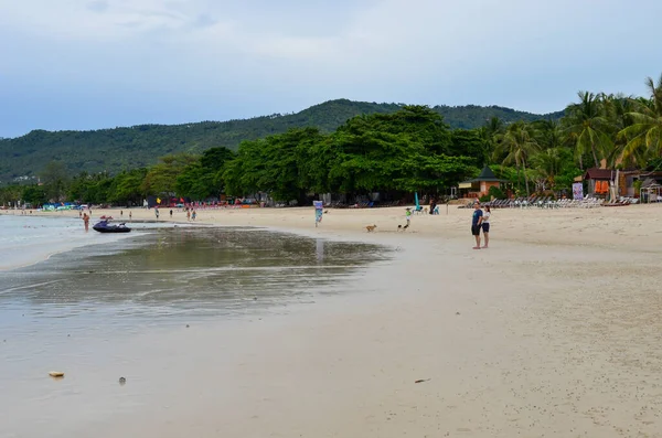 Sommar Strandvibbar Hav Palmer Och Sand — Stockfoto