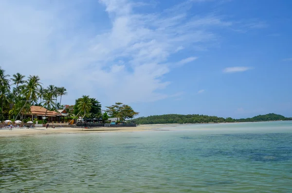 Sommerliche Strandatmosphäre Meer Palmen Und Sand — Stockfoto