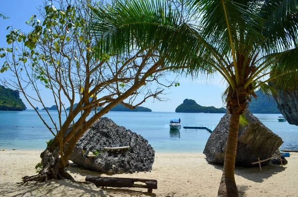 Sommerliche Strandatmosphäre Meer Palmen Und Sand — Stockfoto