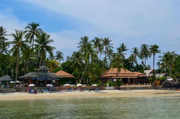 Sommar Strandvibbar Hav Palmer Och Sand — Stockfoto