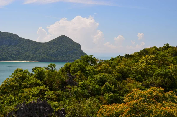 Krásná Tropická Krajina Příroda Pozadí Cestovní Koncept — Stock fotografie
