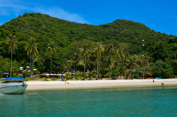 Sommerliche Strandatmosphäre Meer Palmen Und Sand — Stockfoto