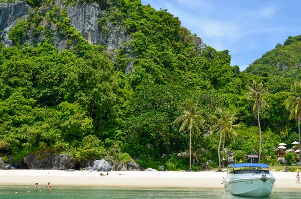 Sommerliche Strandatmosphäre Meer Palmen Und Sand — Stockfoto