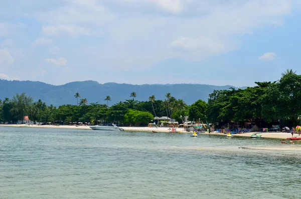 Sommerliche Strandatmosphäre Meer Palmen Und Sand — Stockfoto