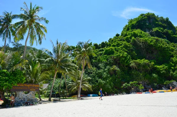 Sommar Strandvibbar Hav Palmer Och Sand — Stockfoto