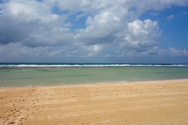 夏のビーチビブ海ヤシ砂 — ストック写真