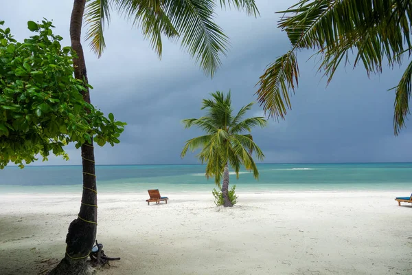 Palme Sulla Spiaggia Vicino All Oceano Paradiso Delle Maldive — Foto Stock