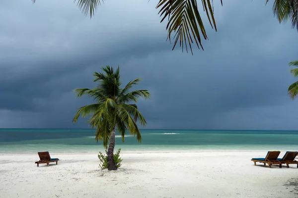 Palmeras Playa Cerca Del Océano Maldivas Paraíso — Foto de Stock