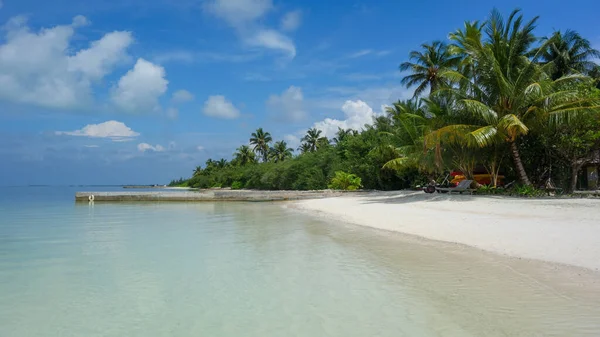 Palmeras Playa Cerca Del Océano Maldivas Paraíso — Foto de Stock