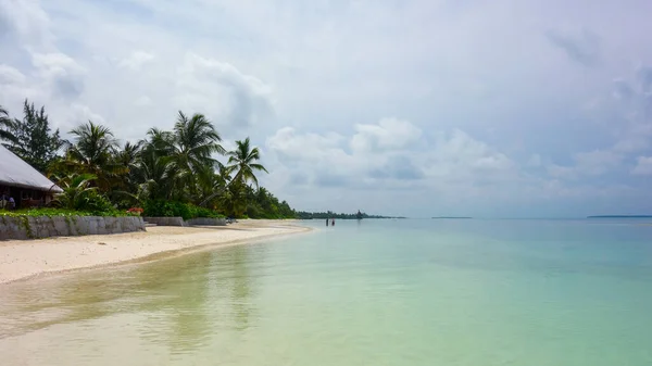 Okyanus Kıyısında Palmiyeler Maldivler Cenneti — Stok fotoğraf