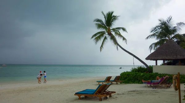 Okyanus Kıyısında Palmiyeler Maldivler Cenneti — Stok fotoğraf