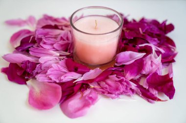 Güzel pembe ve mor çiçek yaprakları üzerinde pembe mum, ürün yerleştirme 