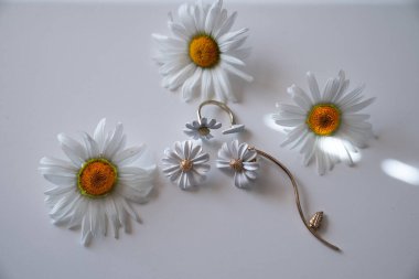 Beyaz papatya çiçekleri, beyaz arka planda papatya şeklinde küpeler.