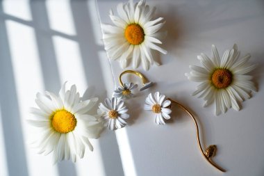 Beyaz papatya çiçekleri, beyaz arka planda papatya şeklinde küpeler.