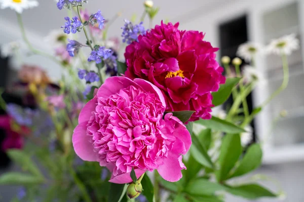 Bahçede güzel pembe ve kırmızı şakayık çiçekleri