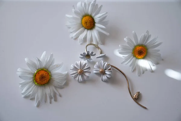 Witte Madeliefje Bloemen Madeliefje Vormige Oorbellen Een Witte Achtergrond — Stockfoto