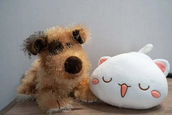 two plush toys cat and dog representing love and relationship