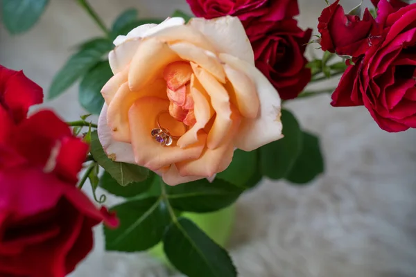 golden ring on beautiful peach creamy roses in a vase on a white background