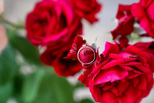 Золотое Кольцо Красивых Красных Розах Вазе Белом Фоне — стоковое фото
