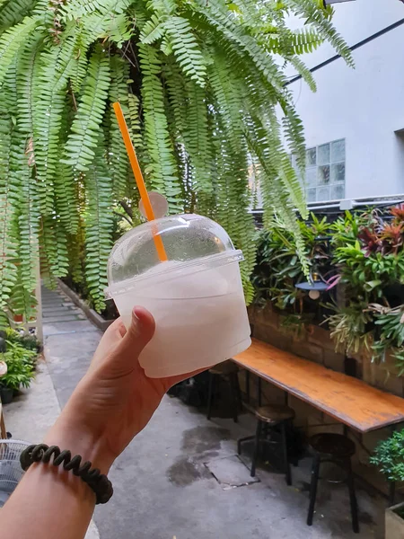 Hand Holding Fresh Coconut Juice Glass Straw — Stockfoto