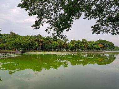 Tayland şehrindeki parkın güzel manzarası